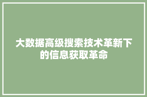 大数据高级搜索技术革新下的信息获取革命
