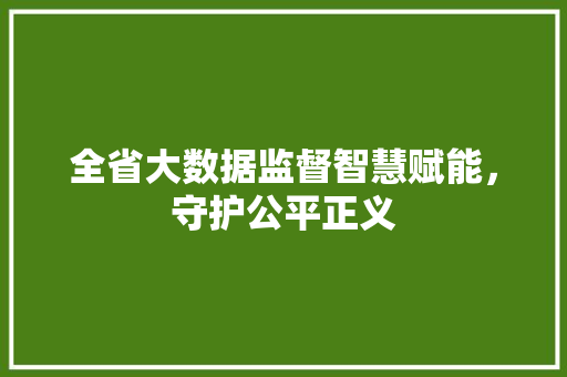 全省大数据监督智慧赋能，守护公平正义