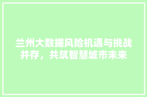 兰州大数据风险机遇与挑战并存，共筑智慧城市未来  第1张