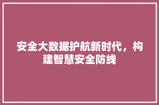 安全大数据护航新时代，构建智慧安全防线  第1张