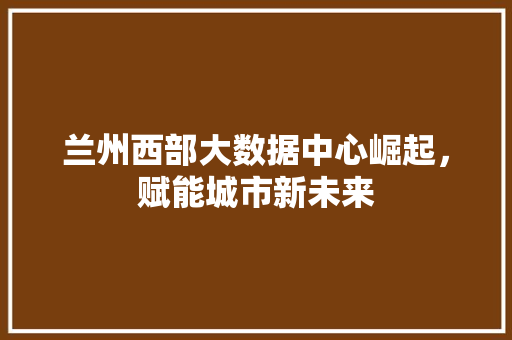 兰州西部大数据中心崛起，赋能城市新未来