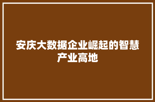 安庆大数据企业崛起的智慧产业高地