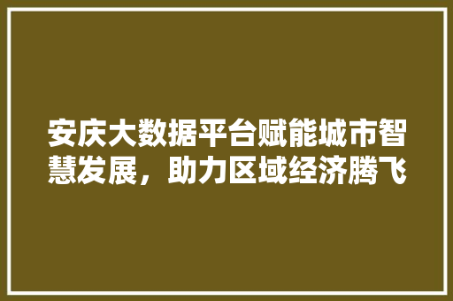 安庆大数据平台赋能城市智慧发展，助力区域经济腾飞