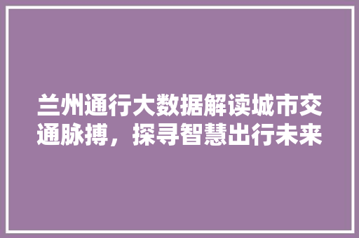 兰州通行大数据解读城市交通脉搏，探寻智慧出行未来