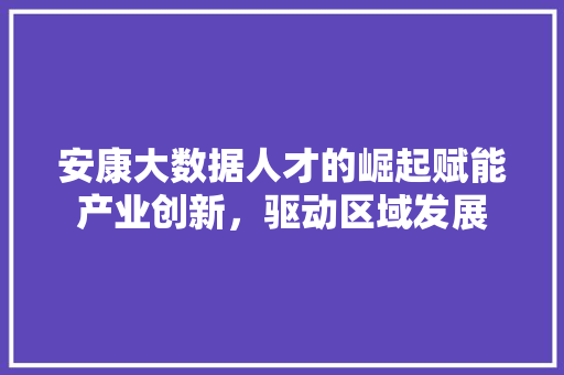 安康大数据人才的崛起赋能产业创新，驱动区域发展  第1张