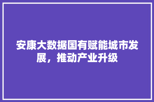 安康大数据国有赋能城市发展，推动产业升级