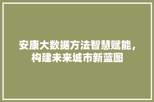 安康大数据方法智慧赋能，构建未来城市新蓝图