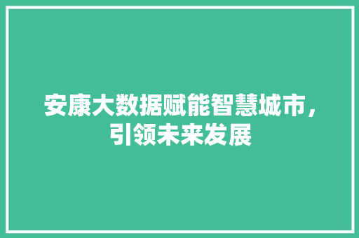 安康大数据赋能智慧城市，引领未来发展  第1张