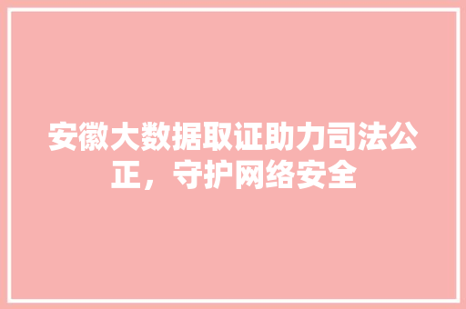 安徽大数据取证助力司法公正，守护网络安全