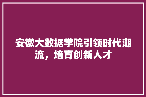 安徽大数据学院引领时代潮流，培育创新人才  第1张