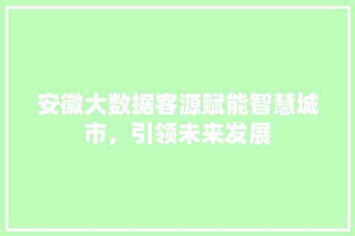 安徽大数据客源赋能智慧城市，引领未来发展