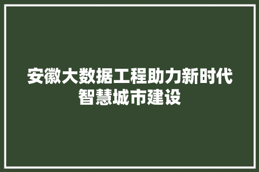 安徽大数据工程助力新时代智慧城市建设  第1张