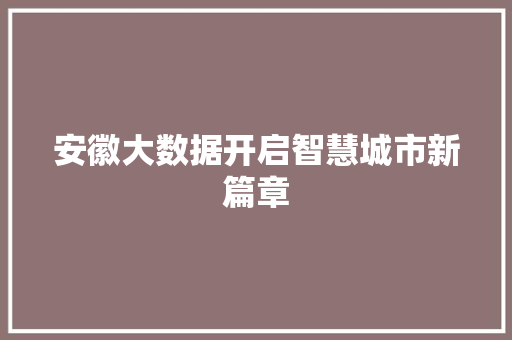 安徽大数据开启智慧城市新篇章  第1张