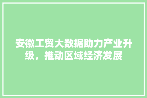 安徽工贸大数据助力产业升级，推动区域经济发展