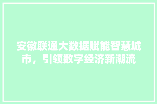 安徽联通大数据赋能智慧城市，引领数字经济新潮流