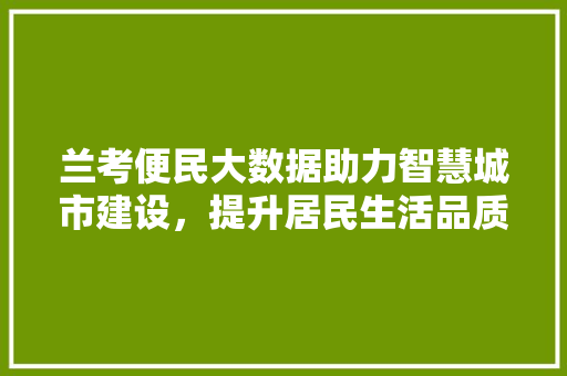 兰考便民大数据助力智慧城市建设，提升居民生活品质