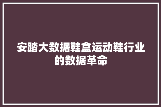 安踏大数据鞋盒运动鞋行业的数据革命  第1张