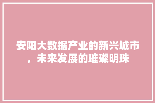安阳大数据产业的新兴城市，未来发展的璀璨明珠