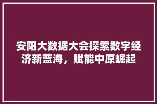 安阳大数据大会探索数字经济新蓝海，赋能中原崛起  第1张