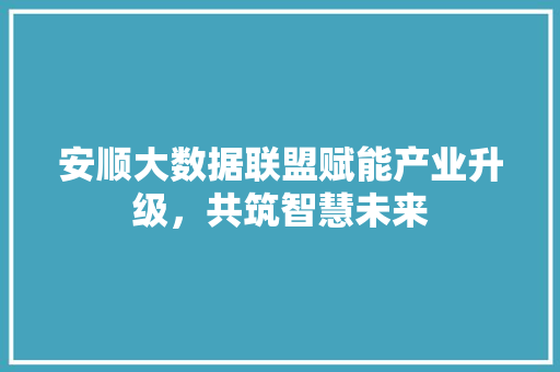 安顺大数据联盟赋能产业升级，共筑智慧未来