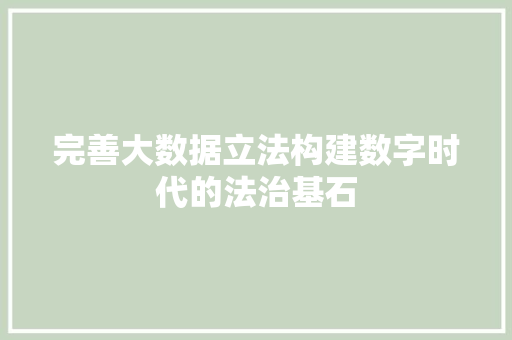 完善大数据立法构建数字时代的法治基石