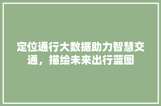 定位通行大数据助力智慧交通，描绘未来出行蓝图  第1张