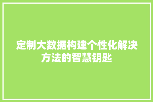定制大数据构建个性化解决方法的智慧钥匙