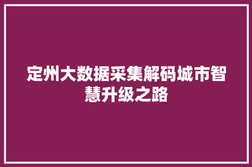 定州大数据采集解码城市智慧升级之路  第1张