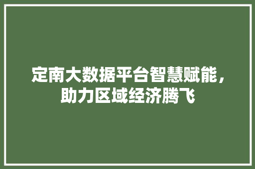 定南大数据平台智慧赋能，助力区域经济腾飞