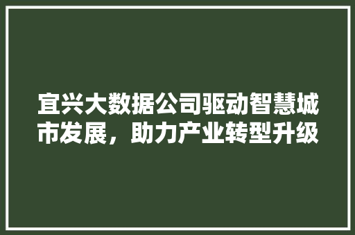 宜兴大数据公司驱动智慧城市发展，助力产业转型升级  第1张