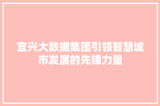 宜兴大数据集团引领智慧城市发展的先锋力量  第1张