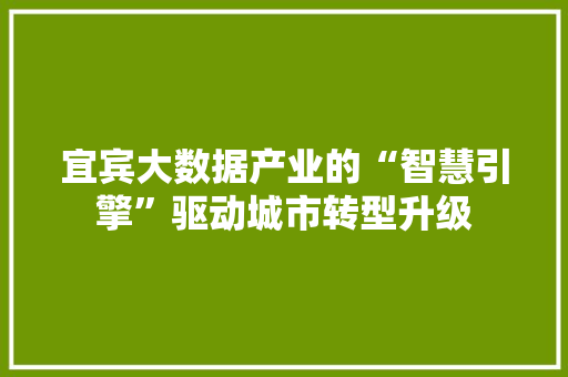 宜宾大数据产业的“智慧引擎”驱动城市转型升级  第1张