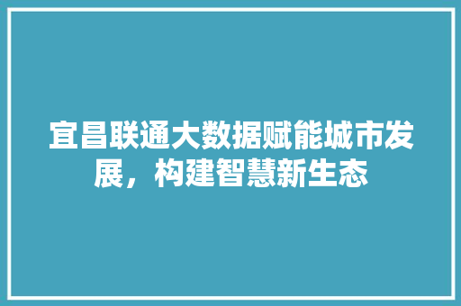 宜昌联通大数据赋能城市发展，构建智慧新生态