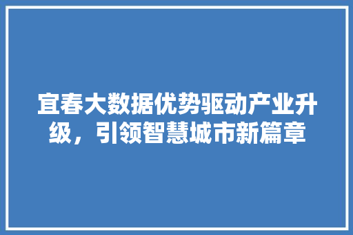 宜春大数据优势驱动产业升级，引领智慧城市新篇章  第1张