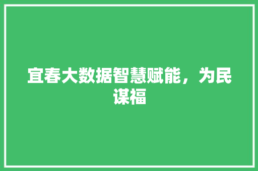 宜春大数据智慧赋能，为民谋福