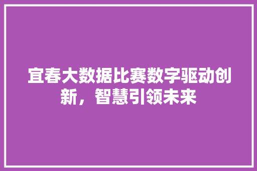 宜春大数据比赛数字驱动创新，智慧引领未来