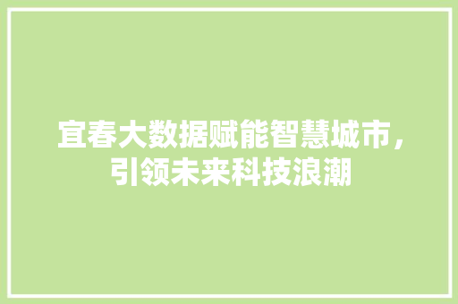宜春大数据赋能智慧城市，引领未来科技浪潮  第1张