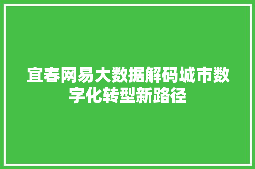 宜春网易大数据解码城市数字化转型新路径  第1张