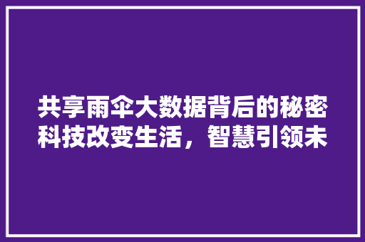 共享雨伞大数据背后的秘密科技改变生活，智慧引领未来  第1张