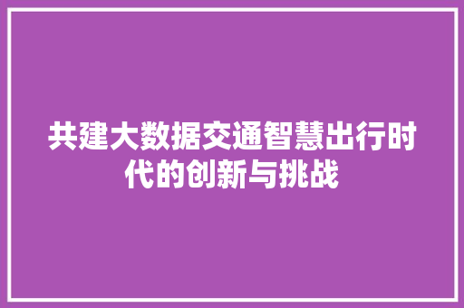 共建大数据交通智慧出行时代的创新与挑战  第1张