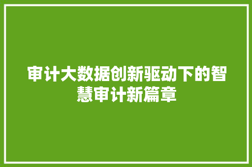 审计大数据创新驱动下的智慧审计新篇章  第1张