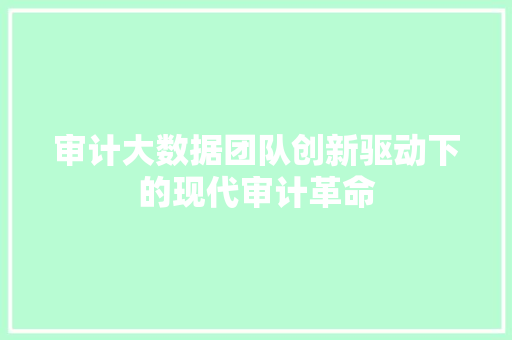 审计大数据团队创新驱动下的现代审计革命  第1张