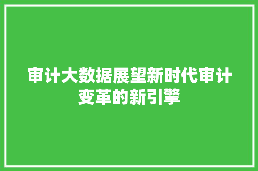 审计大数据展望新时代审计变革的新引擎  第1张