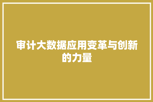 审计大数据应用变革与创新的力量  第1张