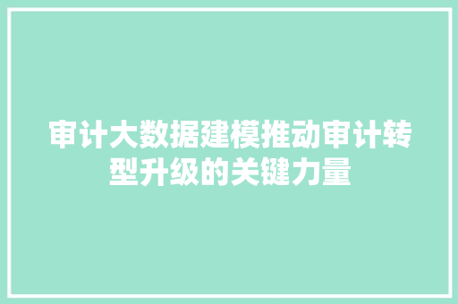 审计大数据建模推动审计转型升级的关键力量  第1张