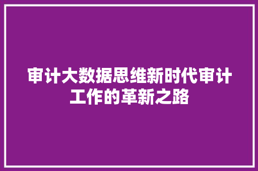 审计大数据思维新时代审计工作的革新之路  第1张