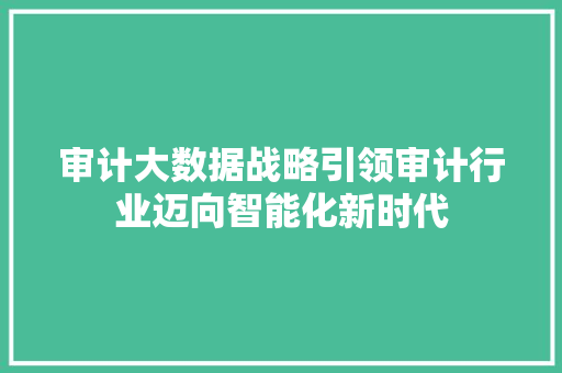 审计大数据战略引领审计行业迈向智能化新时代  第1张