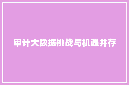 审计大数据挑战与机遇并存  第1张