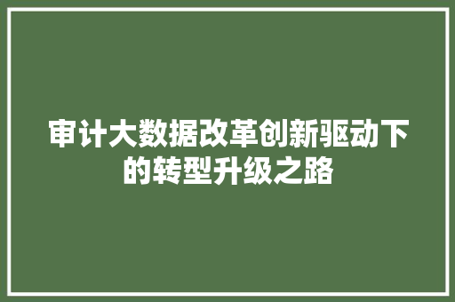 审计大数据改革创新驱动下的转型升级之路  第1张
