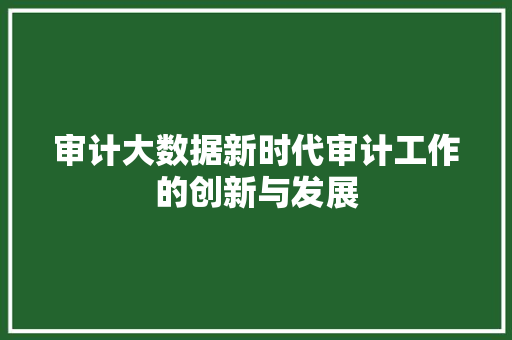 审计大数据新时代审计工作的创新与发展  第1张